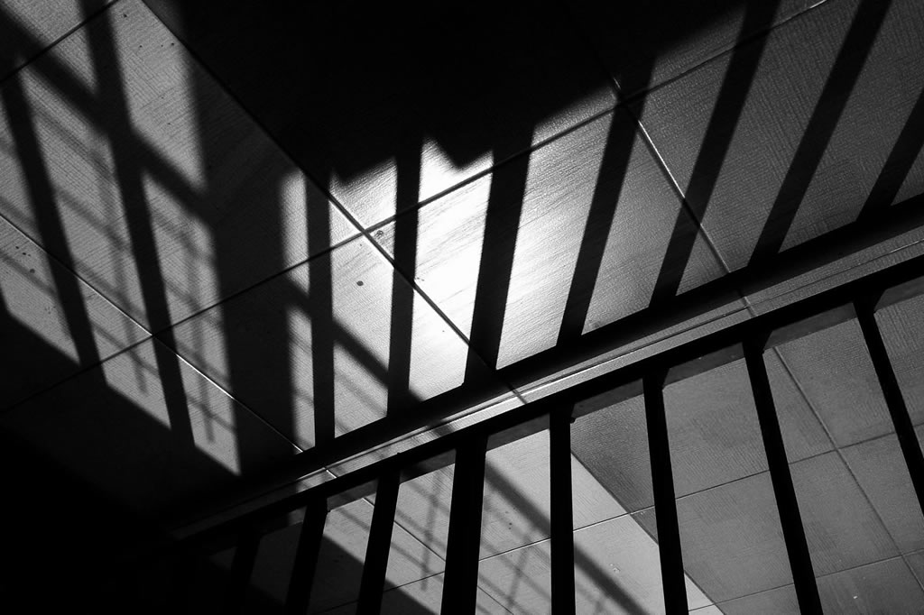 Scienze_Criminologiche_ICO